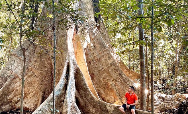 Vô số điểm check-in tuyệt đẹp ở rừng Nam Cát Tiên