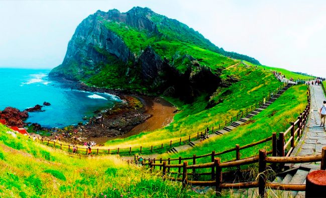 Tour Hàn Quốc: Seoul – Đảo Jeju – Herb Dongsan – Đảo Nami