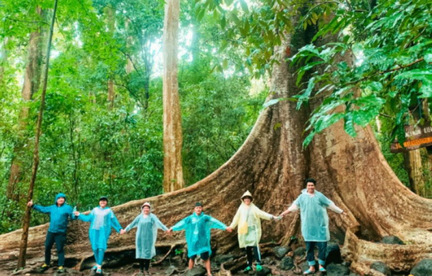 Tour Nam Cát Tiên – Khám Phá thiên nhiên núi rừng