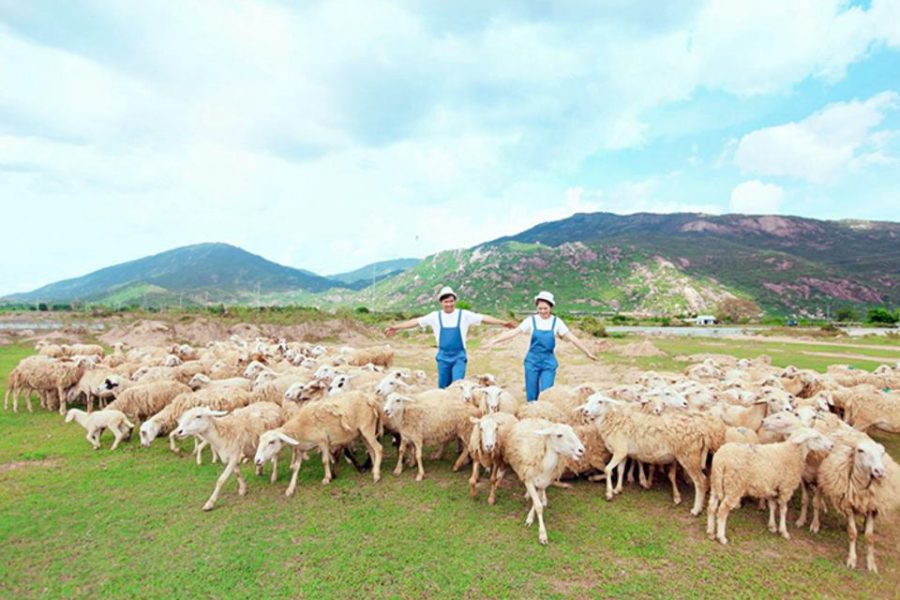 Tour Hồ Tràm 2 ngày 1 đêm