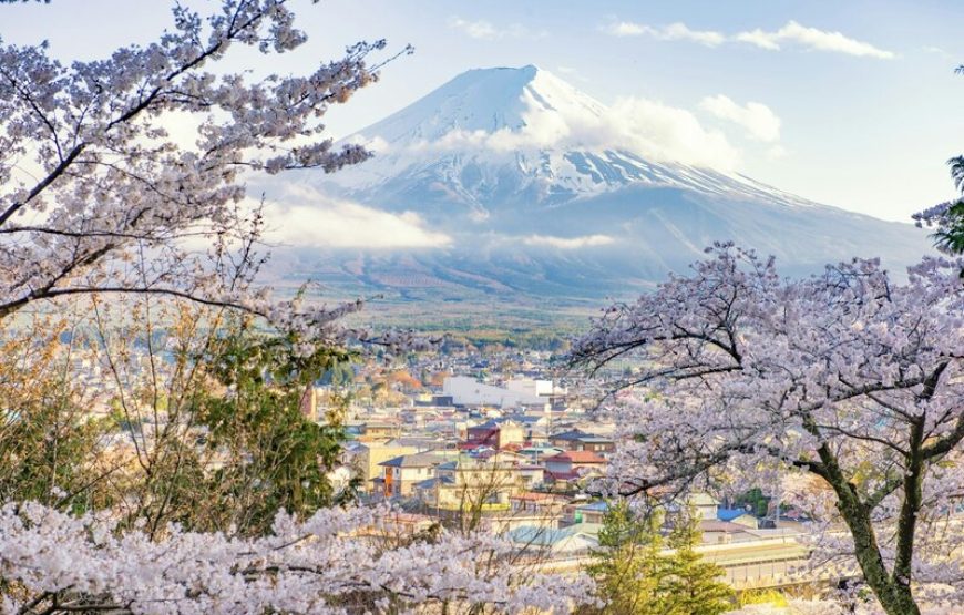 Tour Nhật Bản Yamanashi – Fuji – Hakone – Tokyo