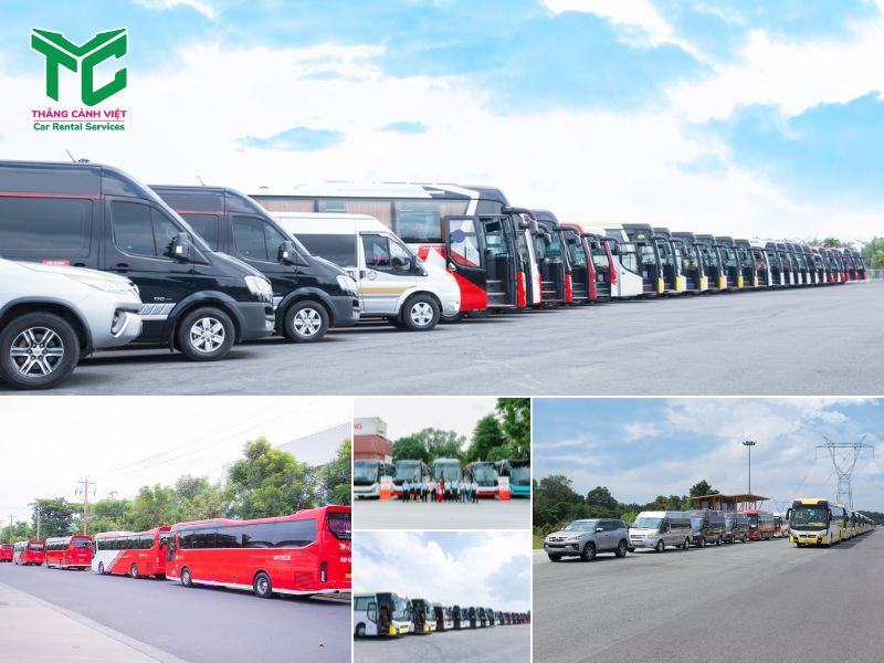 Một số dòng xe hiện có tại Thắng Cảnh Việt (ảnh: Thắng Cảnh Việt)