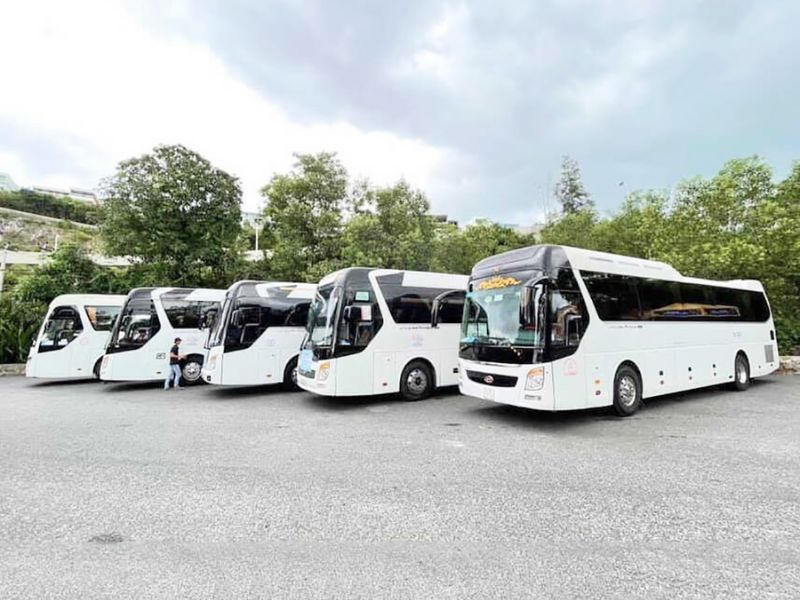 Thuê xe tuyến miền Tây ngày Tết (ảnh: sưu tầm)