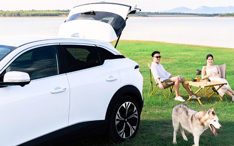 Tips để thuê xe tự lái nhanh chóng hơn (Ảnh: Sưu tầm)