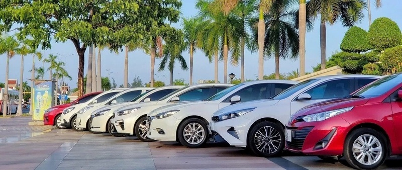 Xe tự lái đa dạng các dòng xe khác nhau (Ảnh: Sưu tầm)