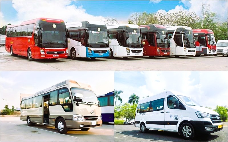 Gợi ý các dòng xe theo từng nhu cầu (Ảnh: Sưu tầm)