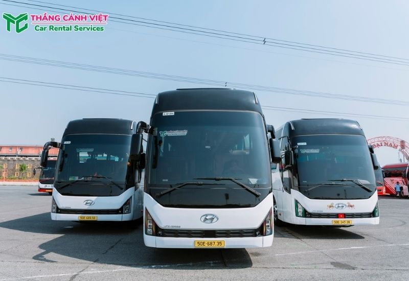 Thắng Cảnh Việt là đơn vị nổi bật trong dịch vụ thuê xe 45 chỗ HCM (Ảnh: Thắng Cảnh Việt)