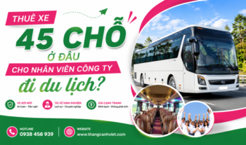 Thuê xe 45 chỗ ở đâu cho nhân viên công ty đi du lịch uy tín