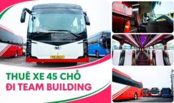 Thuê xe 45 chỗ đi team building - Xe mới, báo giá tốt