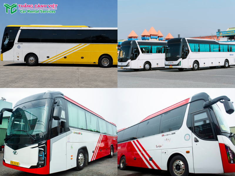 Các dòng xe 45 chỗ có mặt trong đội xe Thắng Cảnh Việt